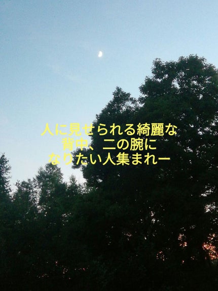 ニキビを防ぐ薬用石鹸 ForBack/ペリカン石鹸/ボディ石鹸を使ったクチコミ(1枚目)