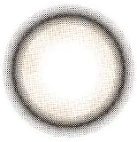 ミニュイアプリコット