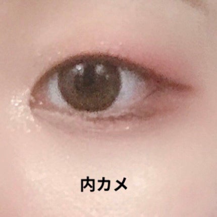 【旧品】パーフェクトスタイリストアイズ/キャンメイク/アイシャドウパレットを使ったクチコミ(3枚目)