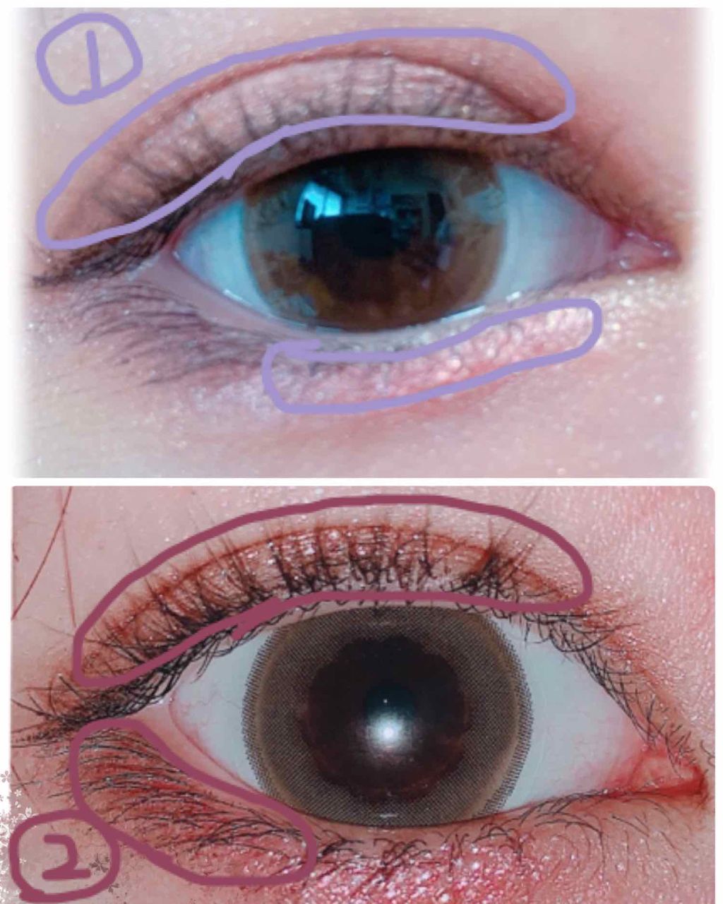 ショコラスウィート アイズ/リンメル ロンドン/アイシャドウパレットを使ったクチコミ（2枚目）