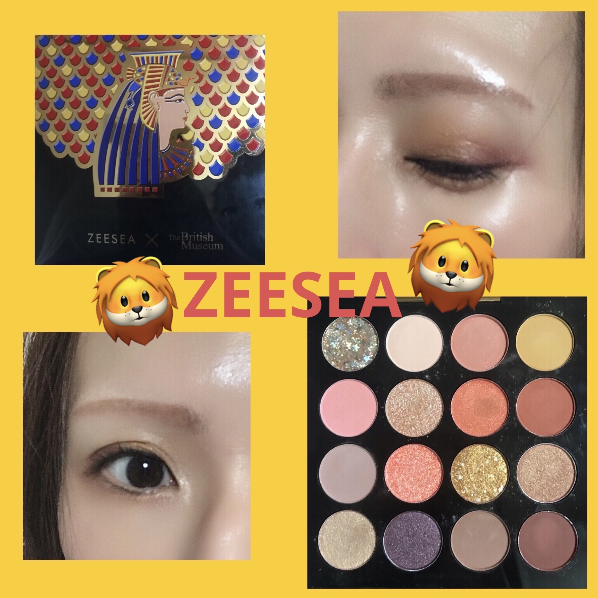 大英博物館 エジプトシリーズ アイシャドウパレット/ZEESEA/アイシャドウパレットを使ったクチコミ（1枚目）