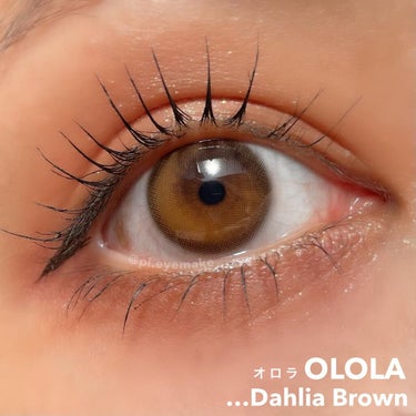 ダリアブラウンマンスリー (DAHLIA BROWN monthly)/OLOLA/１ヶ月（１MONTH）カラコンを使ったクチコミ（1枚目）