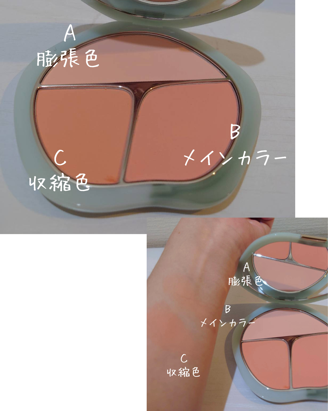 TIMAGE 3色チークパレット/TIMAGE/パウダーチークを使ったクチコミ(2枚目)