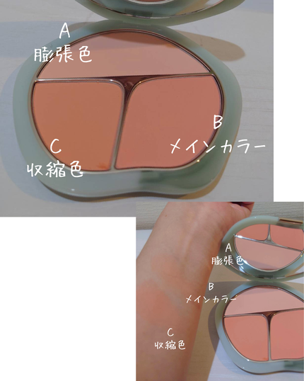 TIMAGE 3色チークパレット/TIMAGE/パウダーチークを使ったクチコミ(2枚目)