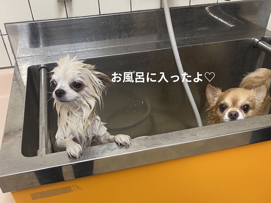 ランテルディ オーデパルファム 35ml/GIVENCHY/香水(レディース)を使ったクチコミ（3枚目）