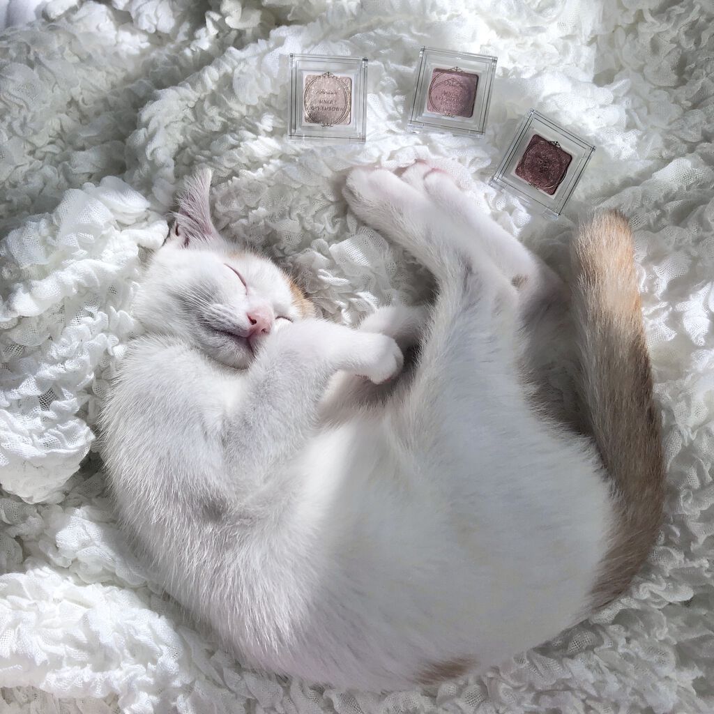 パラドゥ シングルアイシャドウ	 GD01 ゴールド/パラドゥ/単色アイシャドウを使ったクチコミ（3枚目）