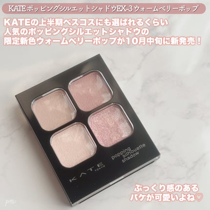 ケイト ポッピングシルエットシャドウ/KATE/アイシャドウパレットを使ったクチコミ(2枚目)