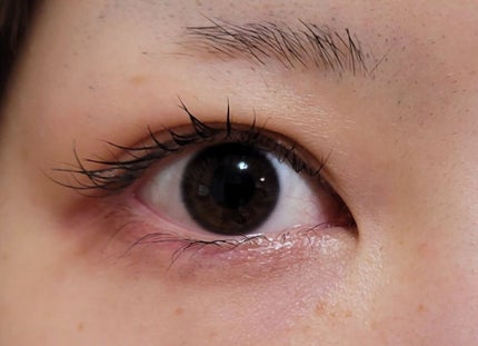 マジックティント/MAJOLICA MAJORCA/マスカラを使ったクチコミ(6枚目)