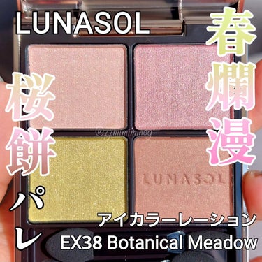 アイカラーレーション EX38 Botanical Meadow（限定発売）/LUNASOL/アイシャドウパレットを使ったクチコミ（1枚目）