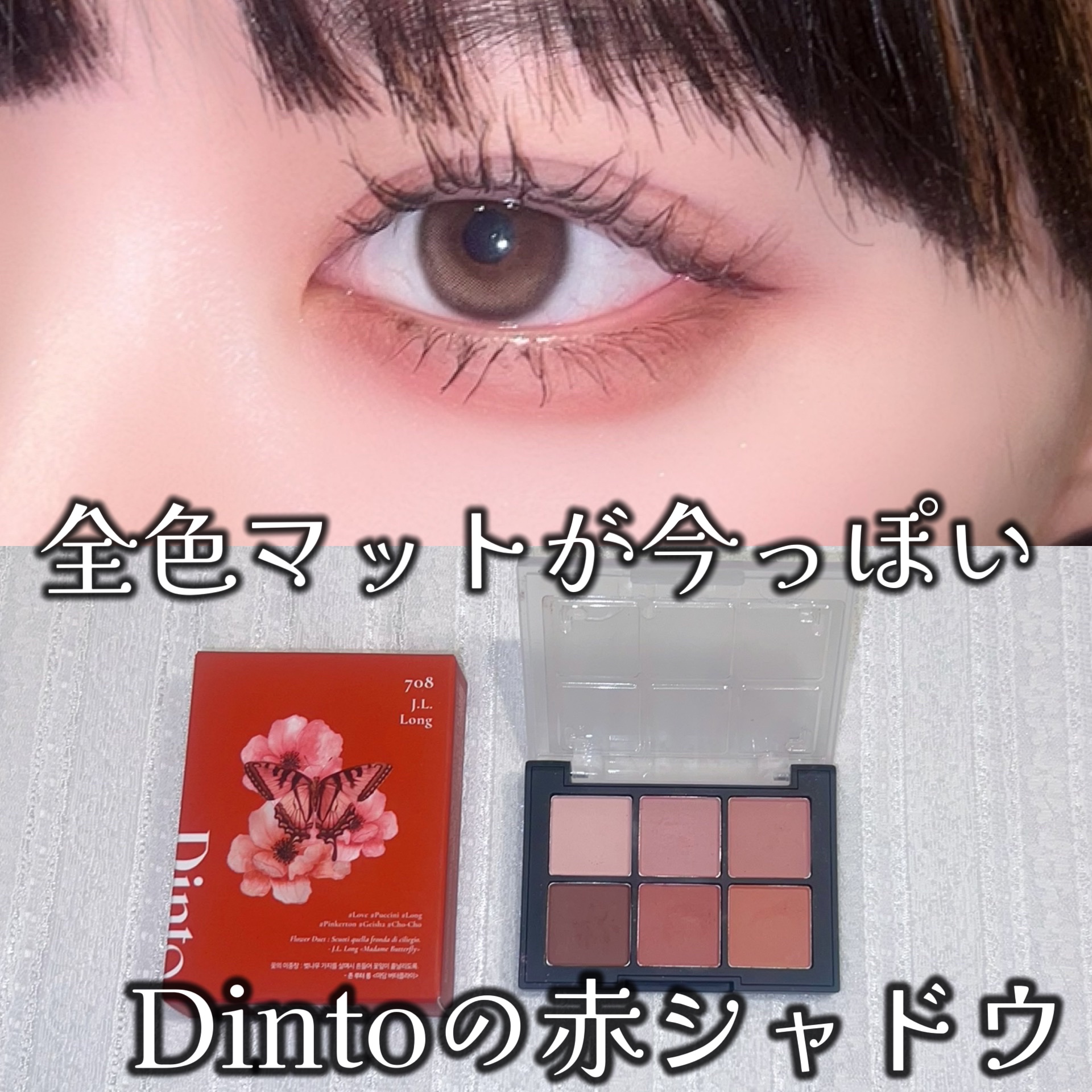 ブラーフィニシュシャドウパレット/Dinto/アイシャドウパレットを使ったクチコミ（1枚目）