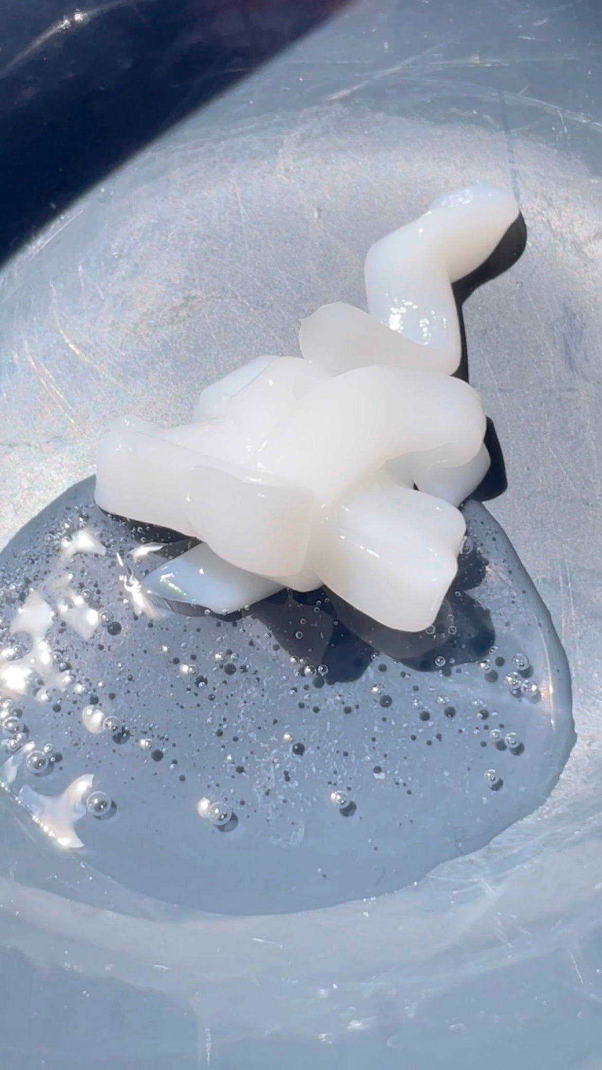 ハニー&マカデミアシャンプー/トリートメント LA VIE EN RORE /KUNDAL/市販シャンプーを使ったクチコミ(7枚目)