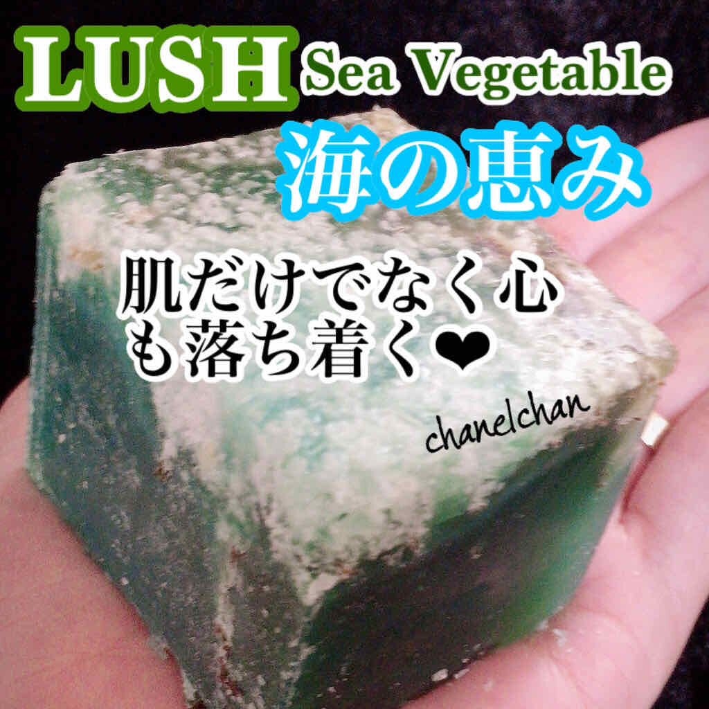 シーベジタブル/ラッシュ/ボディ石鹸を使ったクチコミ(1枚目)