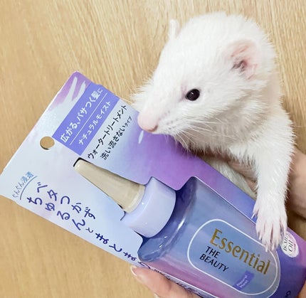 エッセンシャル プレミアム ウォータートリートメント ナチュラルモイスト/エッセンシャル/アウトバストリートメントを使ったクチコミ(2枚目)