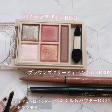 パノラマデザイン アイパレット/Visée/アイシャドウパレットを使ったクチコミ(2枚目)
