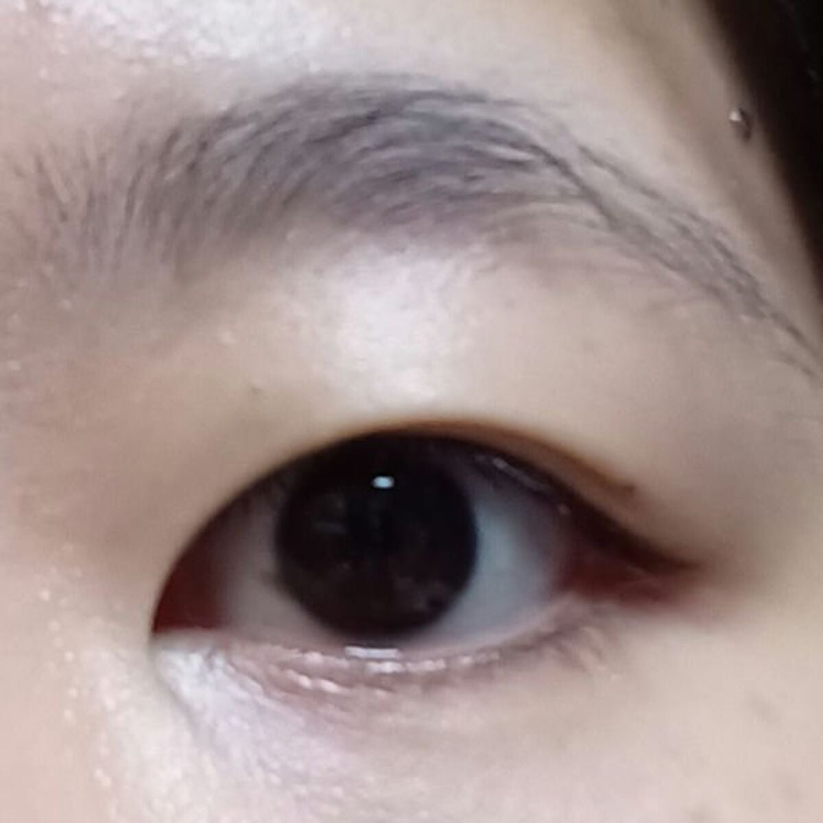 シルキーリキッドアイライナーWP/D-UP/リキッドアイライナーを使ったクチコミ(4枚目)