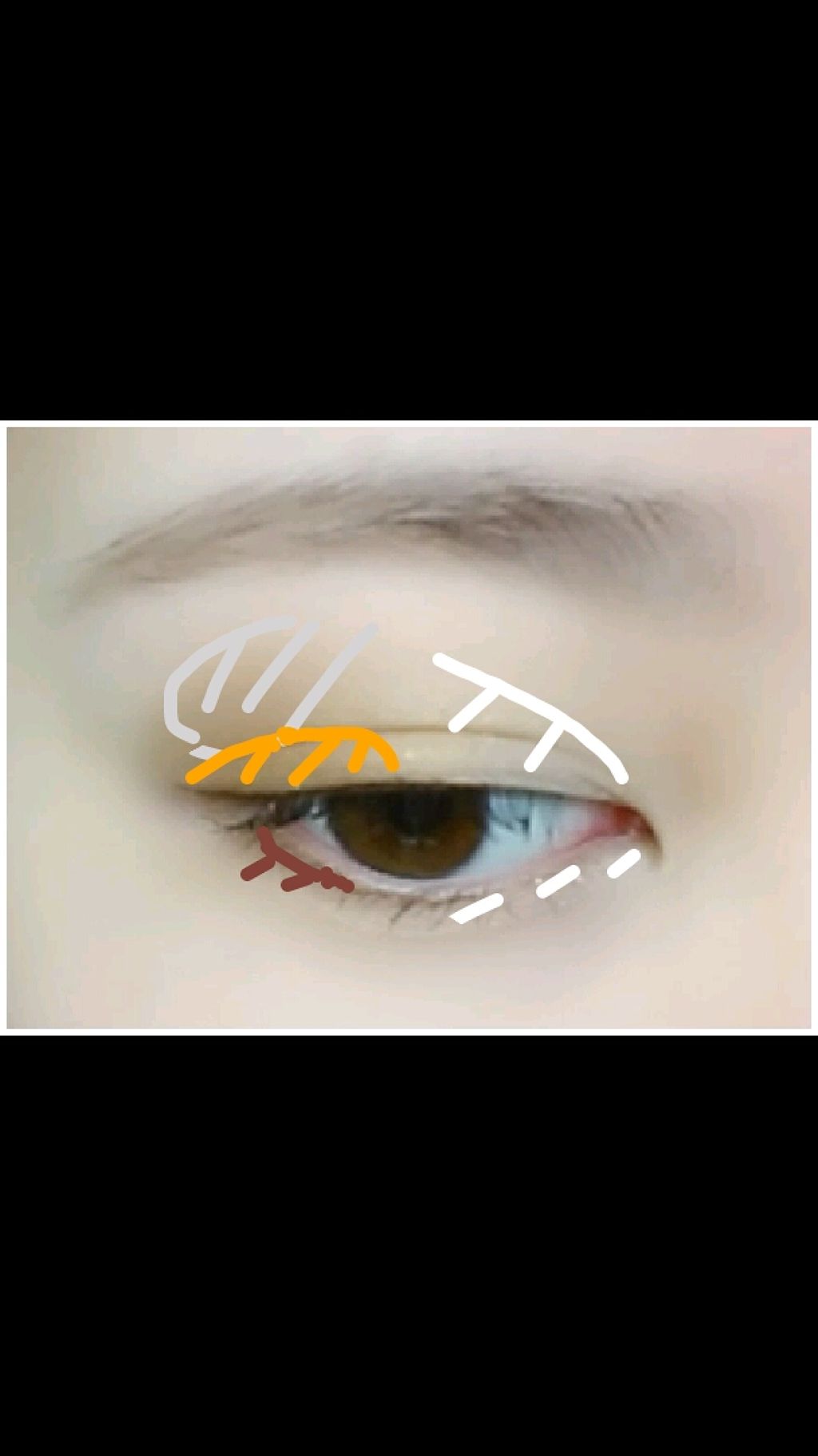 ヴィンテージモードアイズ/KATE/アイシャドウパレットを使ったクチコミ(2枚目)