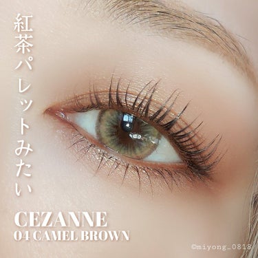 ニュアンスオンアイシャドウ/CEZANNE/アイシャドウパレットを使ったクチコミ（1枚目）