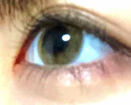 ReVIA 1day/ReVIA/ワンデー(1DAY)カラコンを使ったクチコミ(2枚目)