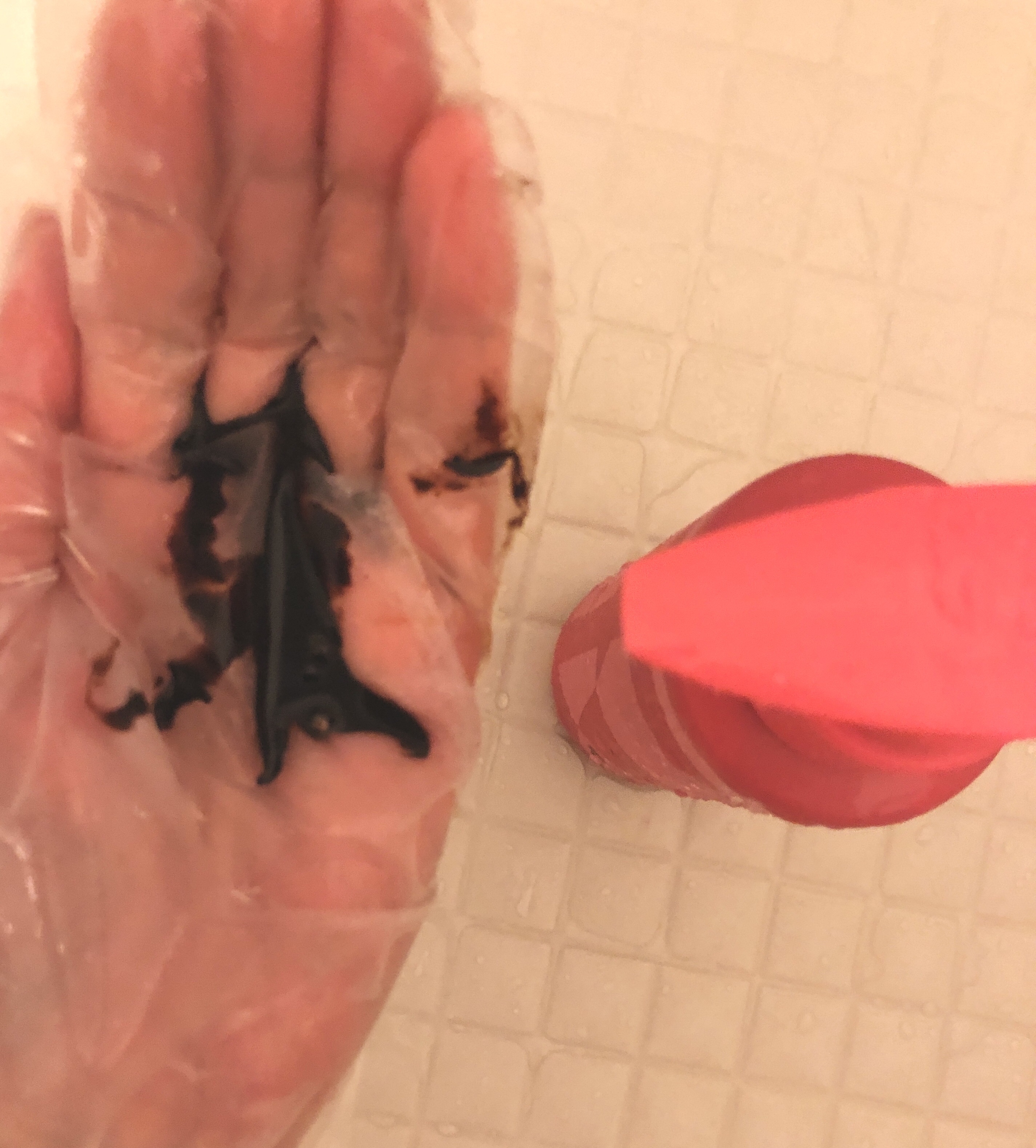 白髪を染めるカラーシャンプー／カラーコンディショナー/iiRo/市販シャンプーを使ったクチコミ（2枚目）