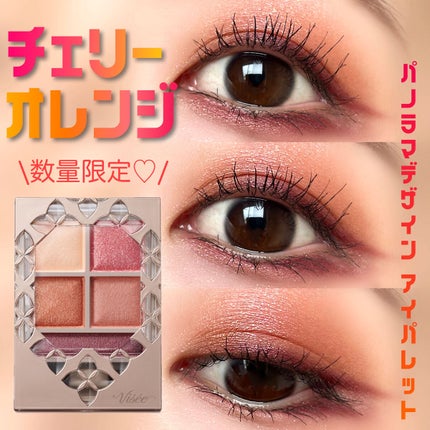 パノラマデザイン アイパレット/Visée/アイシャドウパレットを使ったクチコミ(1枚目)