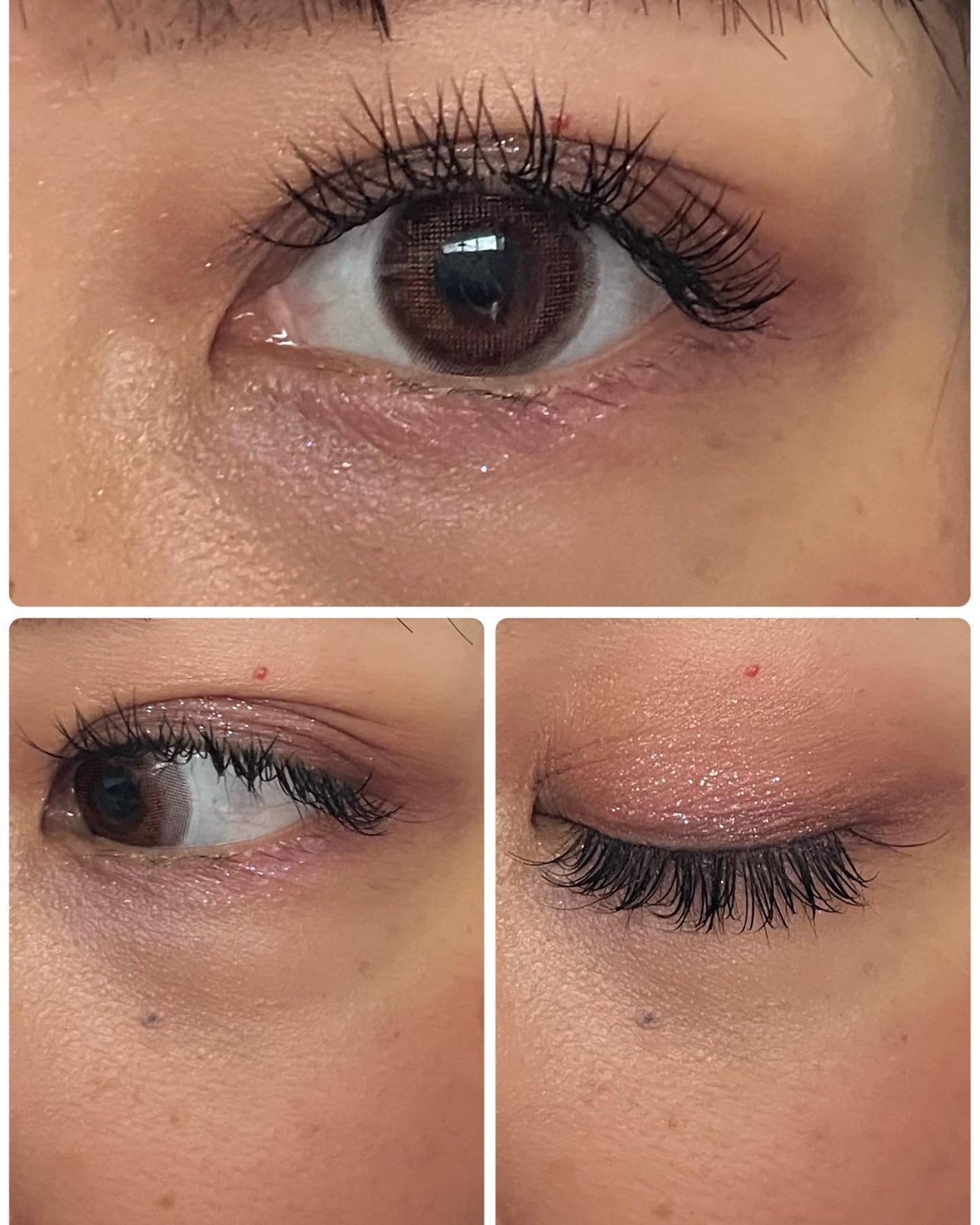 TOPARDS 1day/TOPARDS/ワンデー(1DAY)カラコンを使ったクチコミ(5枚目)