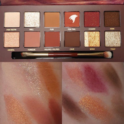 エクスプローラ12色 動物アイシャドウパレット/PERFECT DIARY/アイシャドウパレットを使ったクチコミ(3枚目)