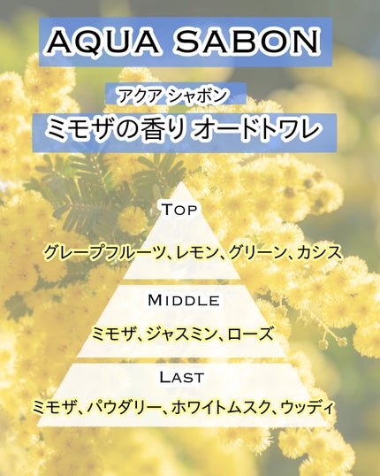 アクア シャボン ミモザの香り オードトワレ/アクアシャボン/香水(その他)を使ったクチコミ(5枚目)