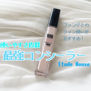 ビッグカバーフィットコンシーラー/ETUDE/リキッドコンシーラーを使ったクチコミ（1枚目）