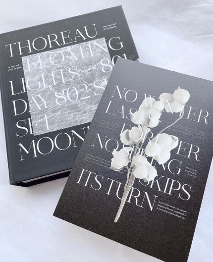 フローティングライトグリッター/Dinto/グリッターを使ったクチコミ(2枚目)