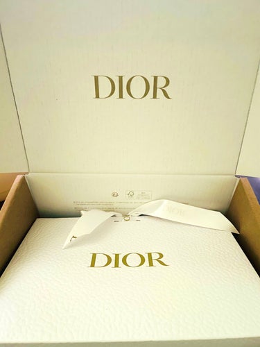 ディオール バックステージ フラッシュ パーフェクター コンシーラー 1N ニュートラル/Dior/コンシーラーの画像