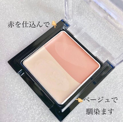 リシェ レッドトリック アイコンシーラー/Visée/パレットコンシーラーを使ったクチコミ(2枚目)