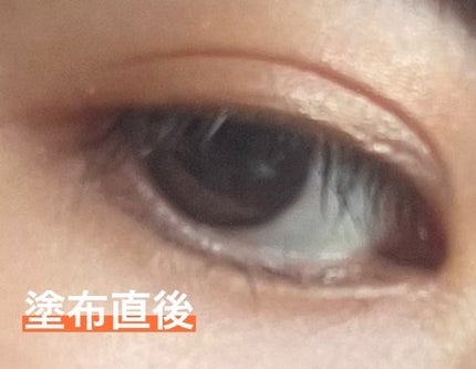 アディクション ザ アイシャドウ パール/ADDICTION/単色アイシャドウを使ったクチコミ(5枚目)