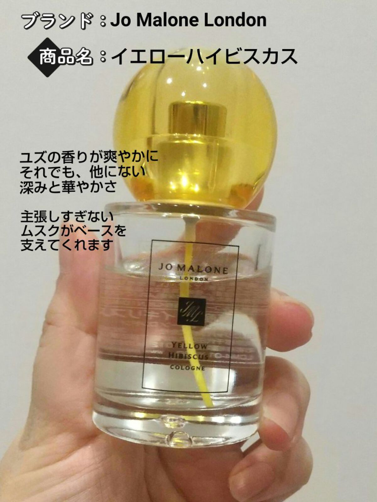 オー ド トワレ 《ナイルの庭》/エルメス/香水(メンズ)を使ったクチコミ（2枚目）