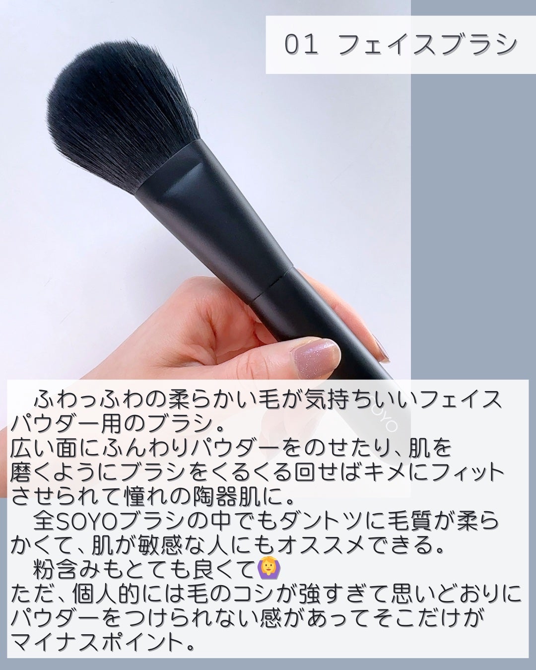 SOYO ディスカバー フルセット (10本+ケース付)|SOYOの SOYO ディスカバー フルセット (10本+ケース付)|SOYOの