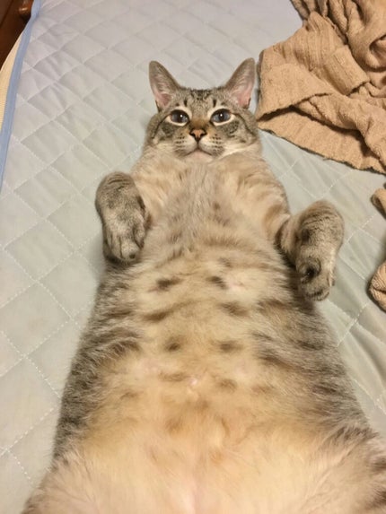 デュオ ザ クレンジングバーム/DUO/クレンジングバームを使ったクチコミ(1枚目)