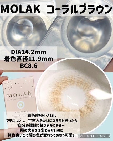 MOLAK 1month/MOLAK/1ヶ月(1MONTH)カラコンを使ったクチコミ(2枚目)