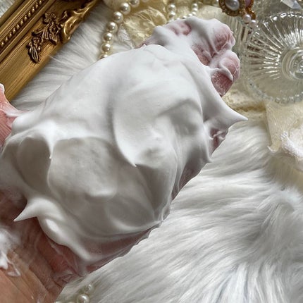 エイジーセオリー ウォッシングフォーム/AGTHEORY/洗顔フォームを使ったクチコミ(6枚目)