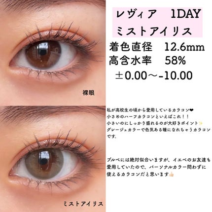 ReVIA 1day/ReVIA/ワンデー(1DAY)カラコンを使ったクチコミ(3枚目)