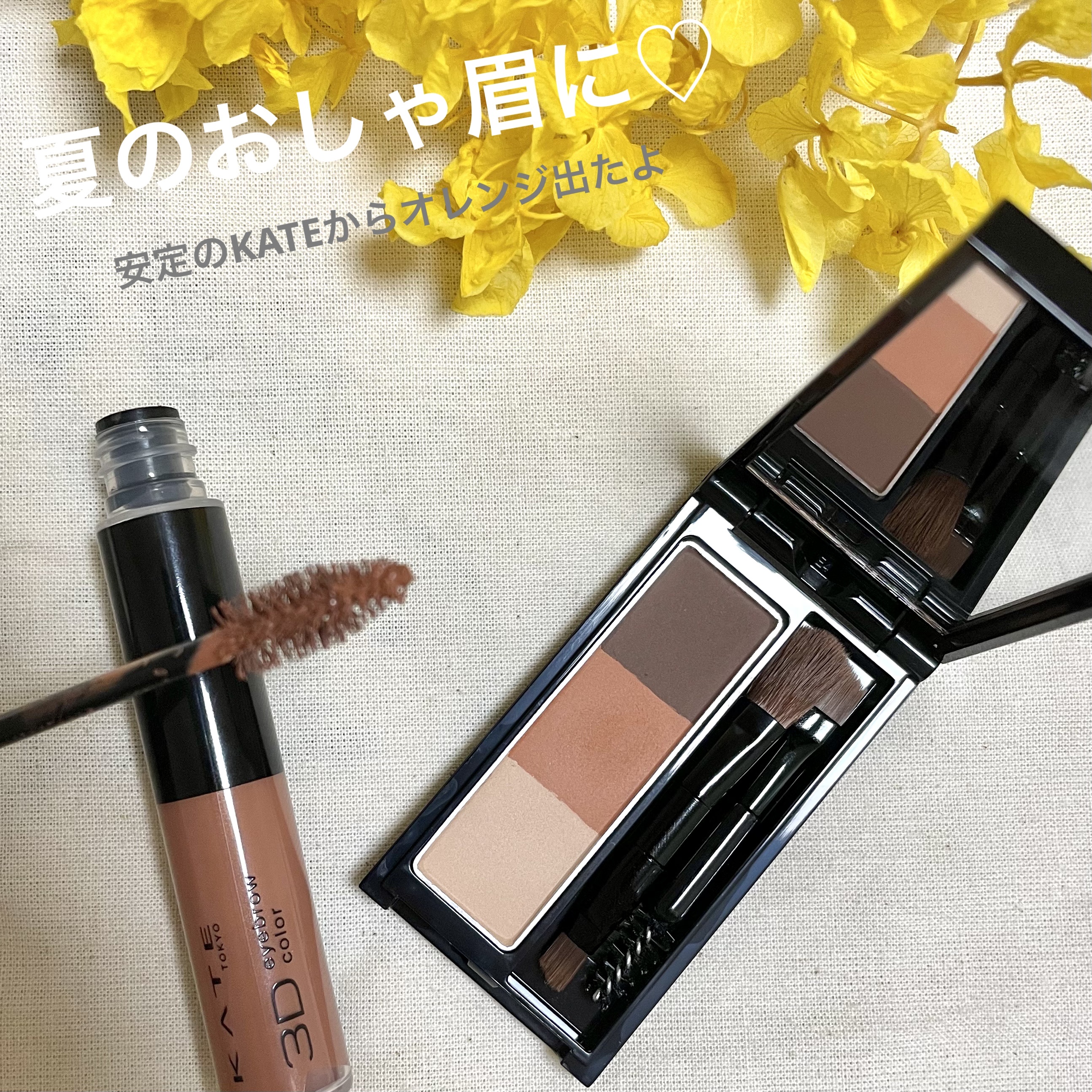 ケイト デザイニングアイブロウ3D/KATE/パウダーアイブロウを使ったクチコミ（1枚目）