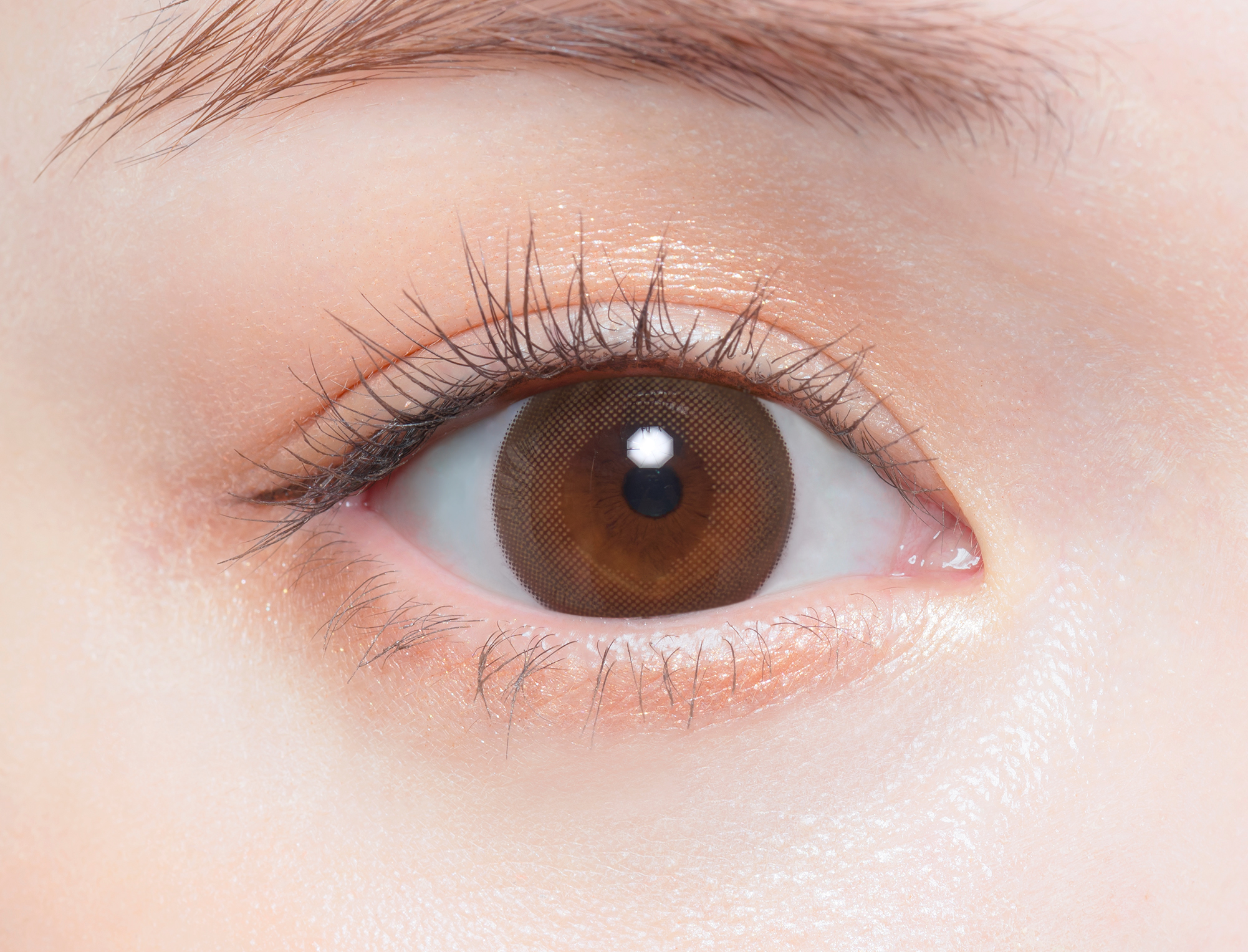 Chu's me monthly モイストブラウン