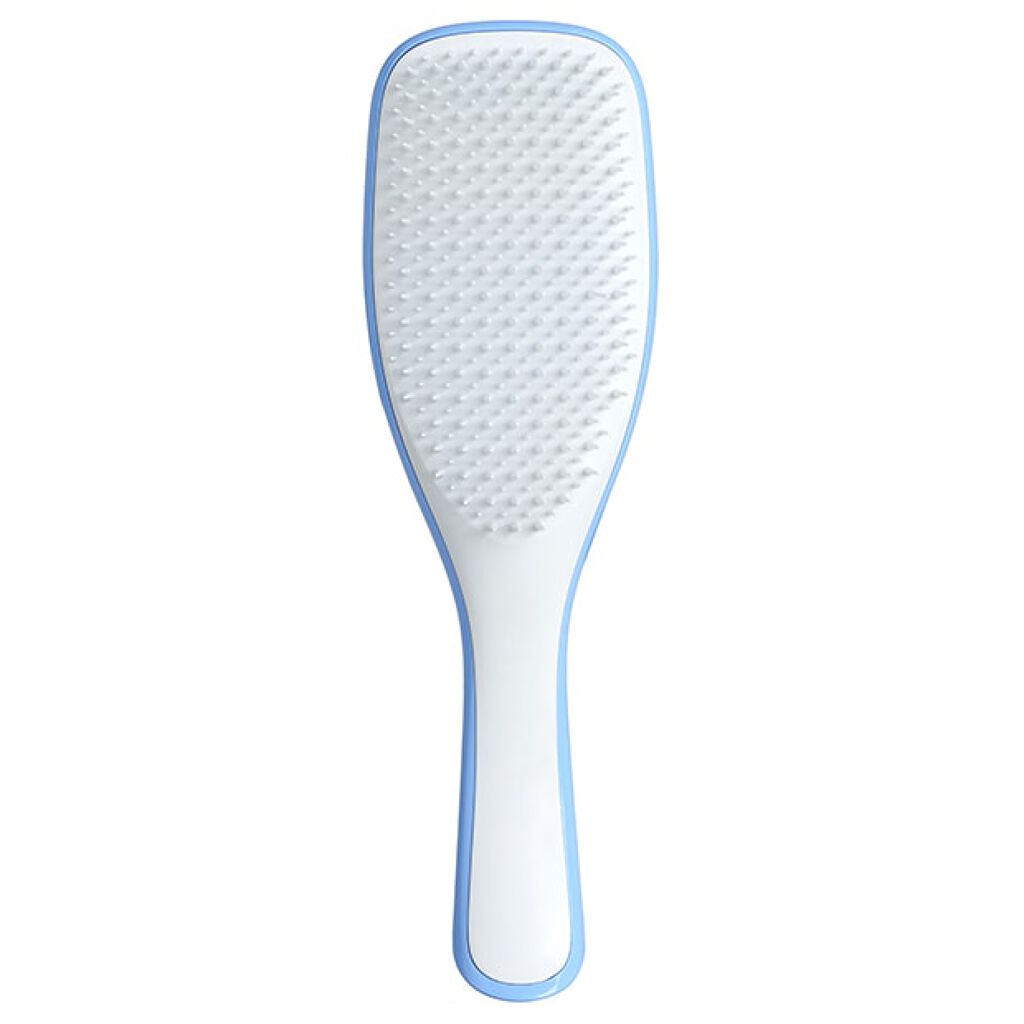 タングルティーザー ザ・アルティメットディタングラー セレニティブルー