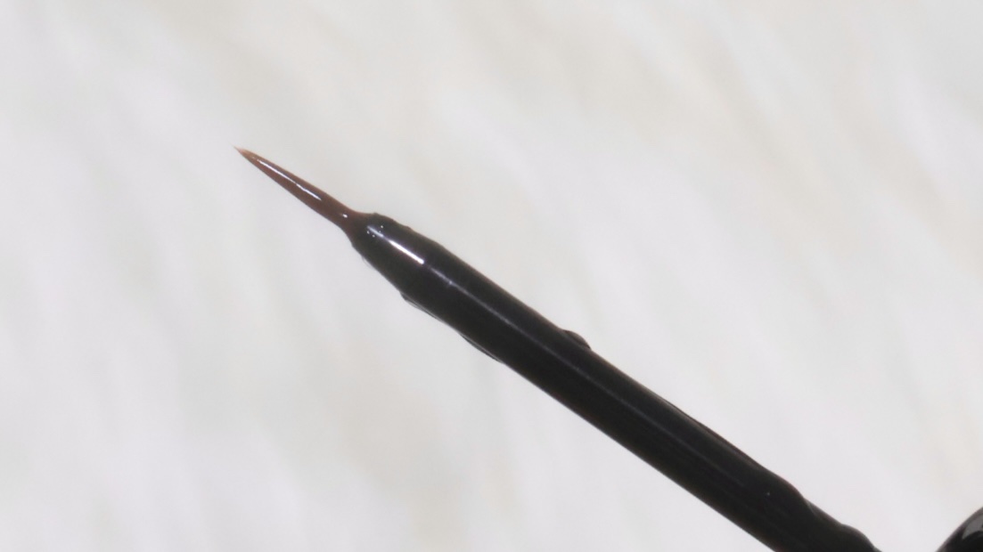 EMAKED（エマーキット）/水橋保寿堂製薬/まつげ美容液を使ったクチコミ（2枚目）