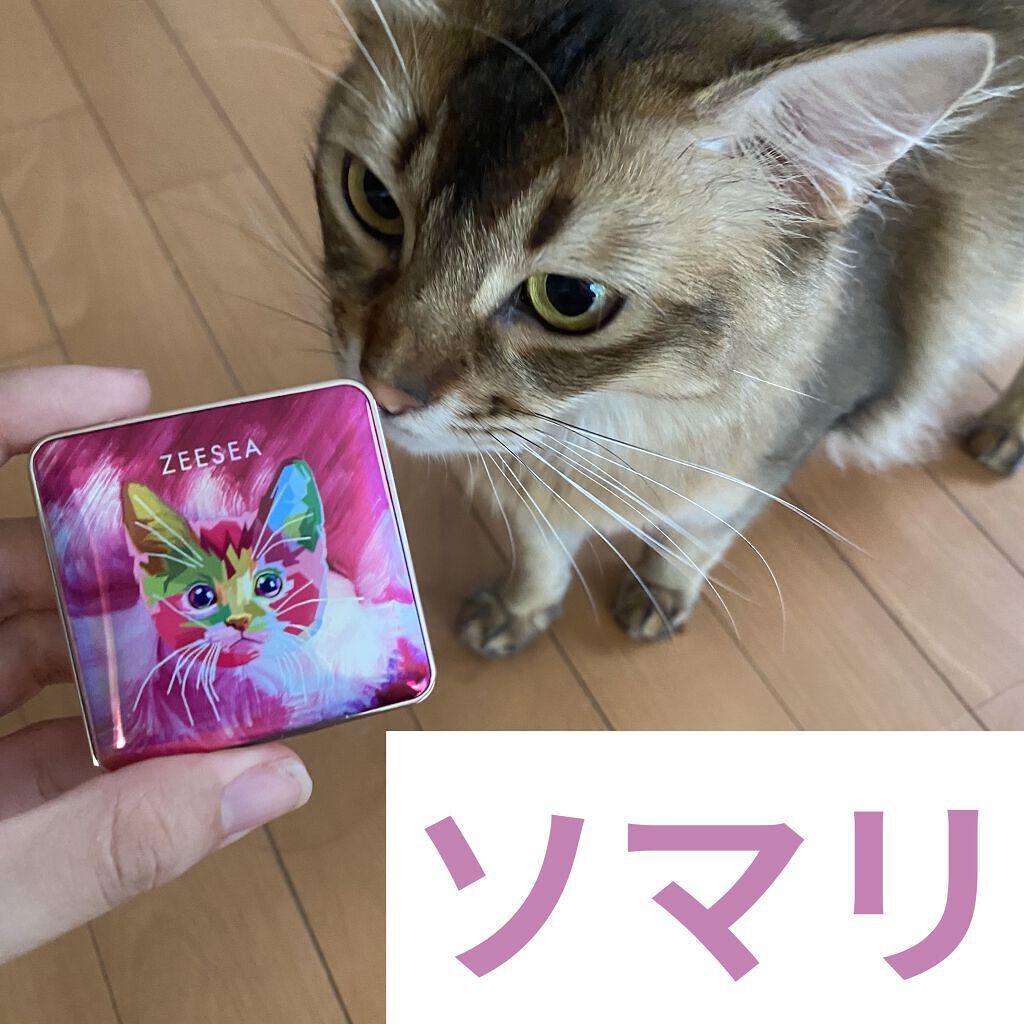 アニマルアイシャドウ(4シェード)/ZEESEA/アイシャドウパレットを使ったクチコミ（2枚目）