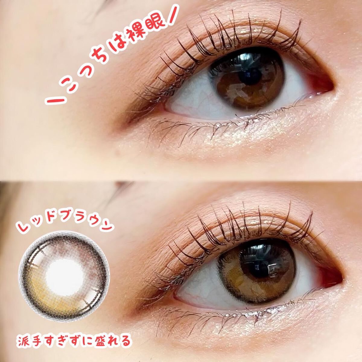 Secretive Kristen/Hapa kristin/カラーコンタクトレンズを使ったクチコミ（3枚目）