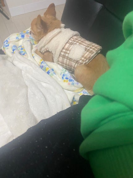 Xmasスノーマン バスボール/モリトク/入浴剤を使ったクチコミ(10枚目)