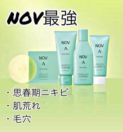 極潤ヒアルロン乳液/肌ラボ/乳液を使ったクチコミ(1枚目)