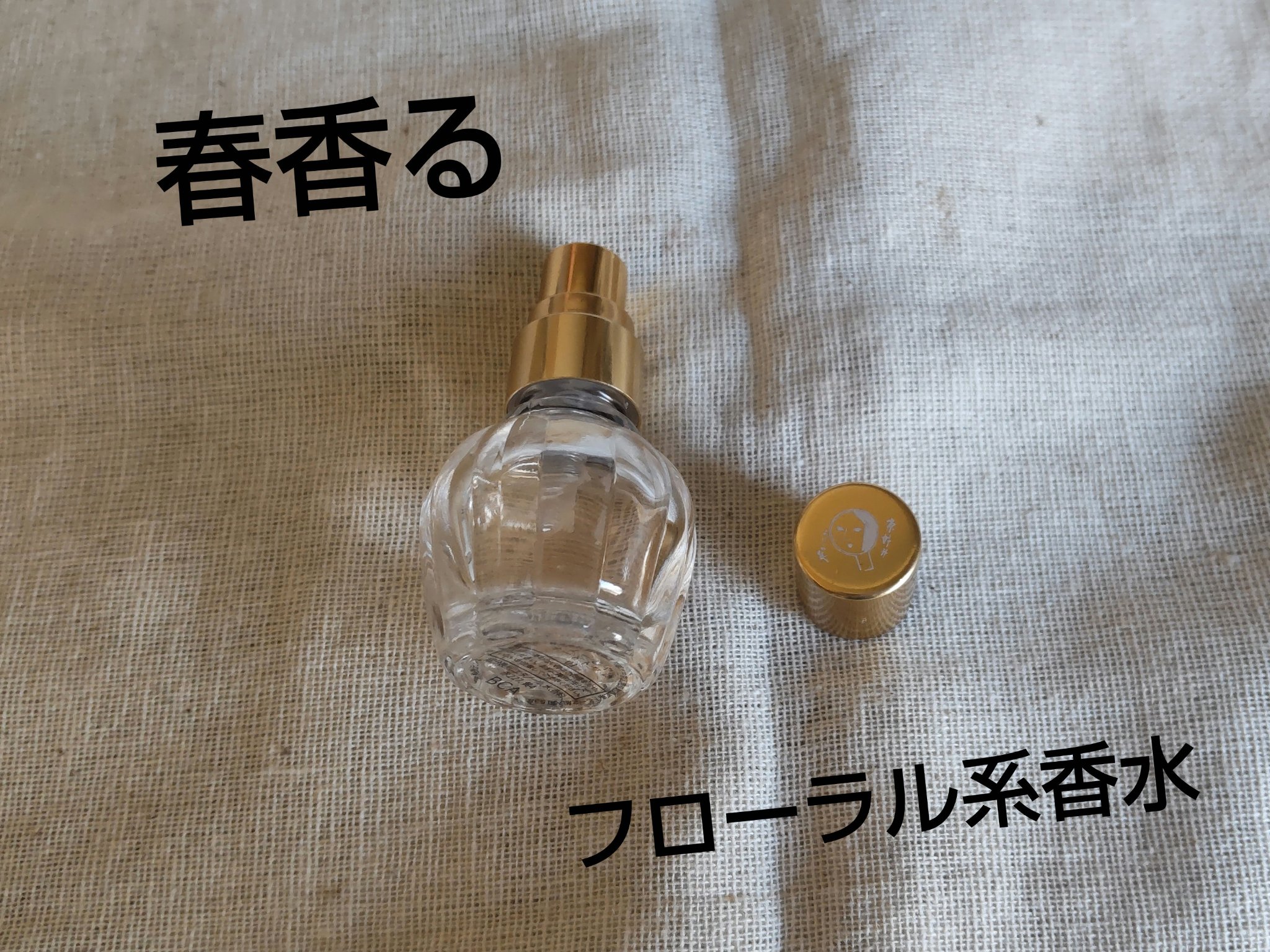 よーじやオードトワレ/よーじや/香水(レディース)を使ったクチコミ（1枚目）