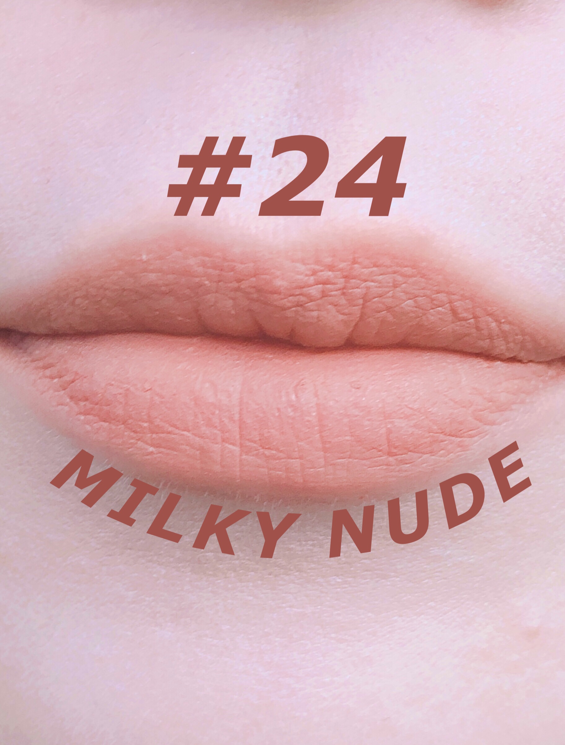 インク ベルベット 24 ミルキー ヌード(MILKY NUDE)/PERIPERA/口紅を使ったクチコミ（1枚目）
