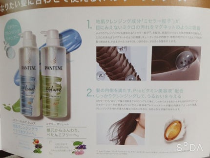 パンテーン ミセラー スカルプクレンズシャンプー/トリートメントのクチコミ「皆さんこんにちは!
今回はLIPPS様からいただいた、パンテーンのシャンプーとトリートメントを.....」(2枚目)