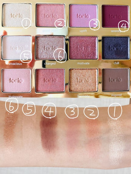 タルトレット E アマゾニアンクレイ パレット/tarte/アイシャドウパレットを使ったクチコミ(2枚目)